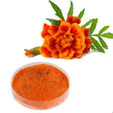 Marigold Extract Zeaxanthin