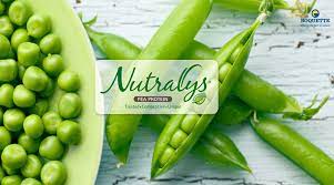 NUTRALYS® S Soluble Pea Protein