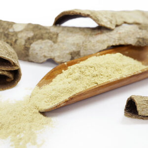 Ovateleaf Holly Bark extract