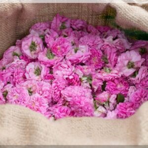 Organic Damascena Rose Water