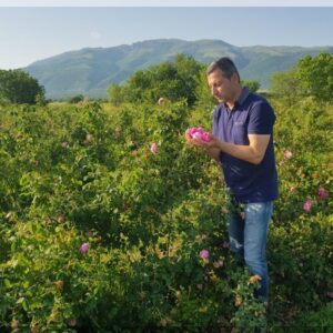 Organic Rose Centifolia Water (Rosa Centifolia)