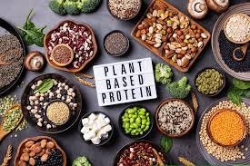 Plant Proteins